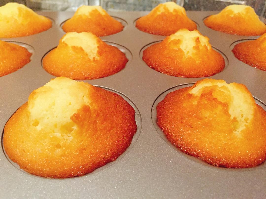 玛德琳（蓝带方）