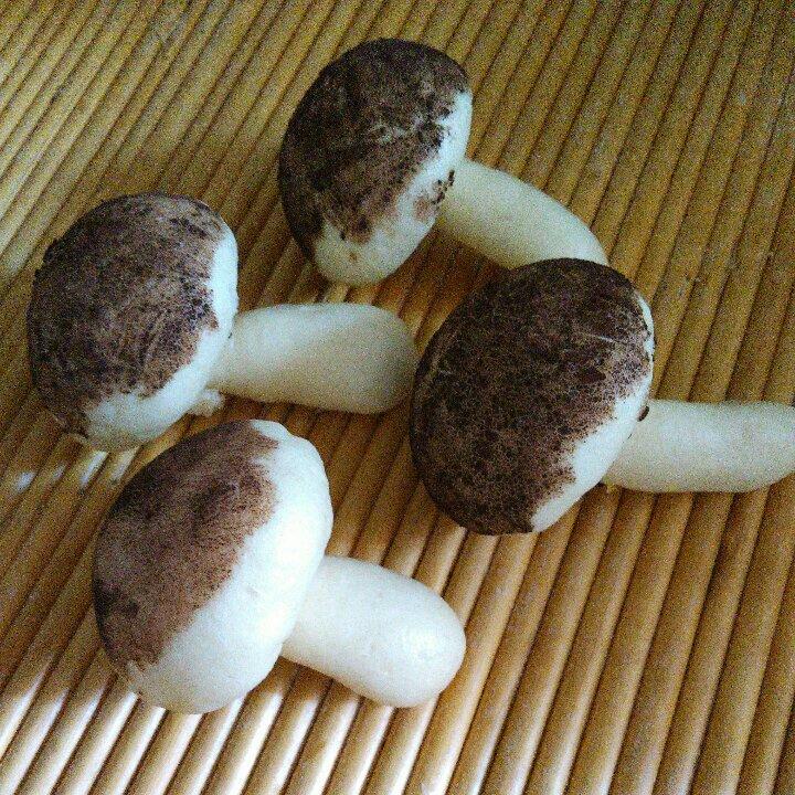 蘑菇包