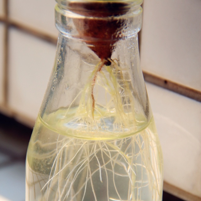 食材也是好风景