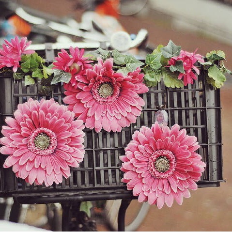 手机用户8320_hw1l