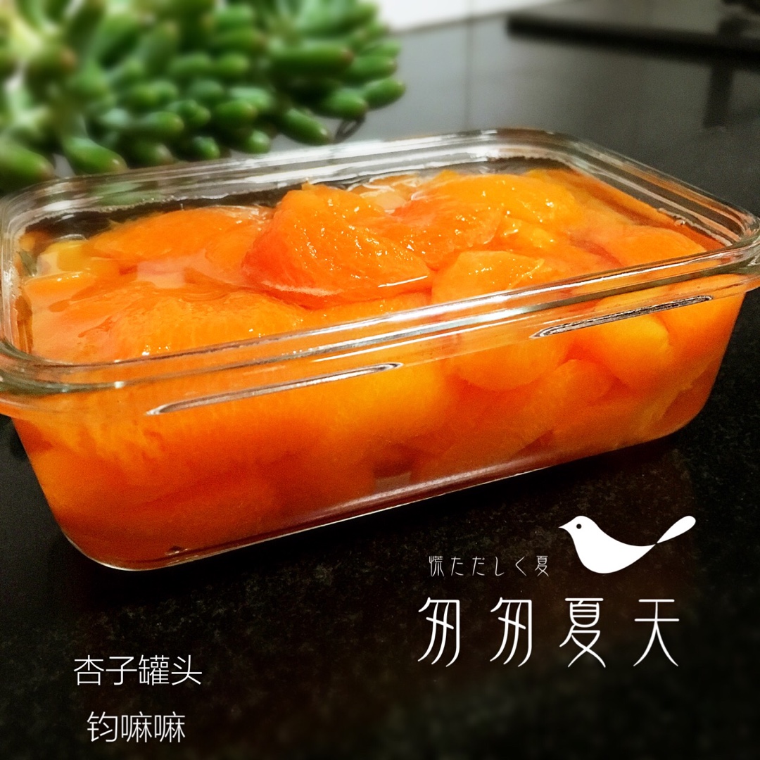 杏罐頭