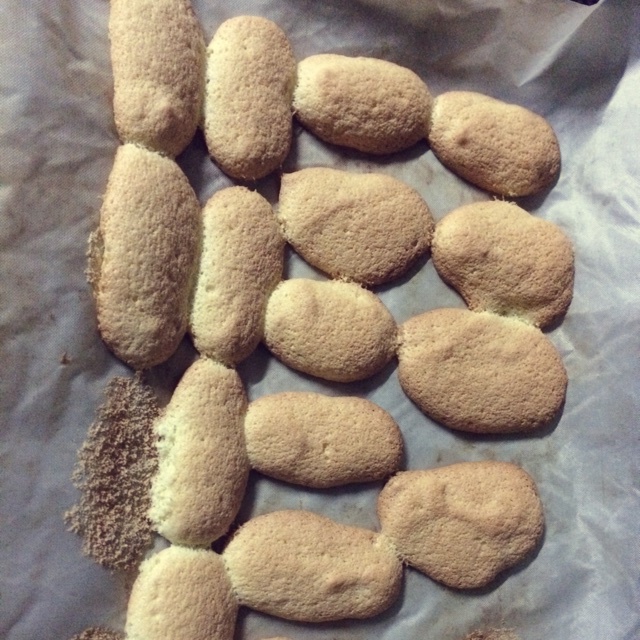 《Tinrry+》提拉米苏