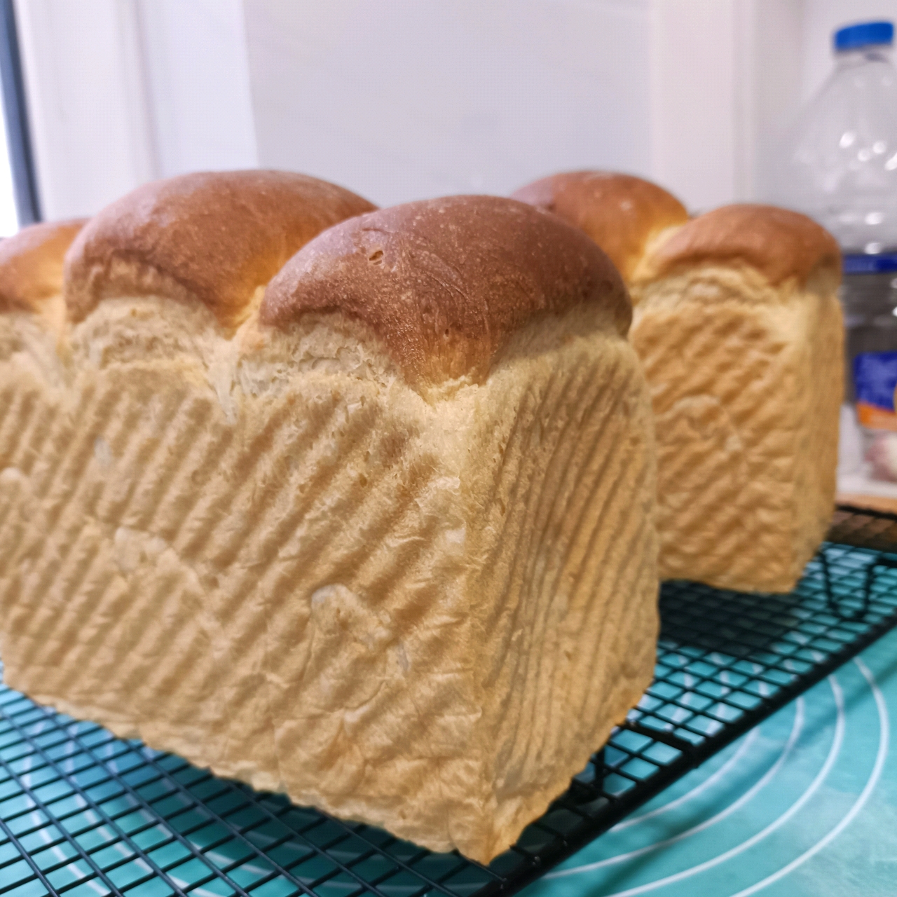 我认为最好吃的吐司🍞重磅奶油奶酪吐司（内含奶油奶酪馅料制作方法）