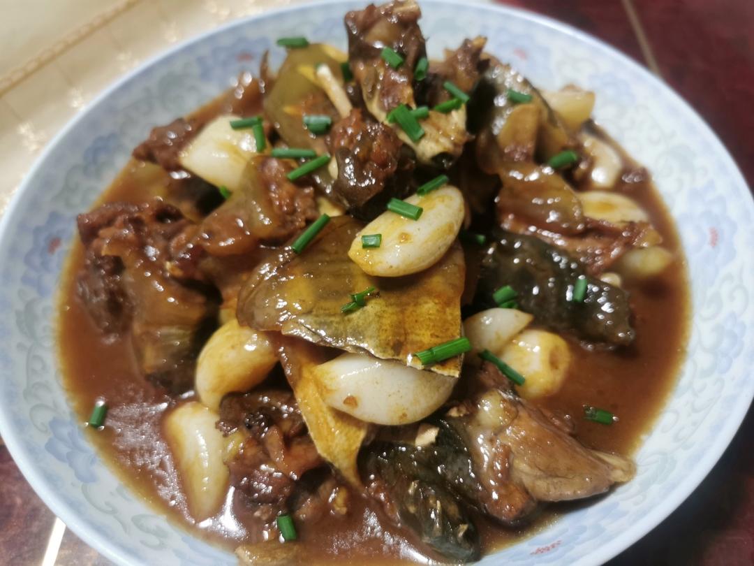 红烧甲鱼