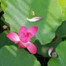 手机用户1417_uz16