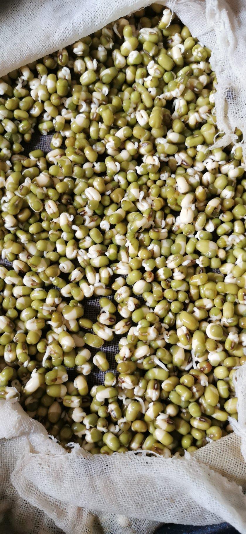 补脾的黄豆芽青菜汤