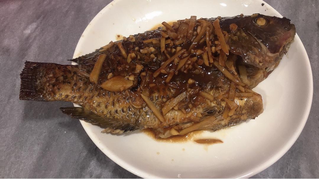 红烧红非洲鱼