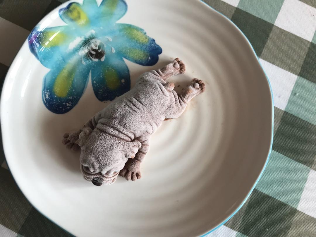 网红慕斯狗（琴姐）