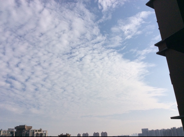 似水流年-263