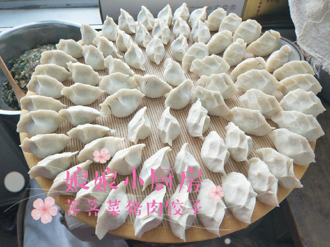 荠荠菜猪肉饺子