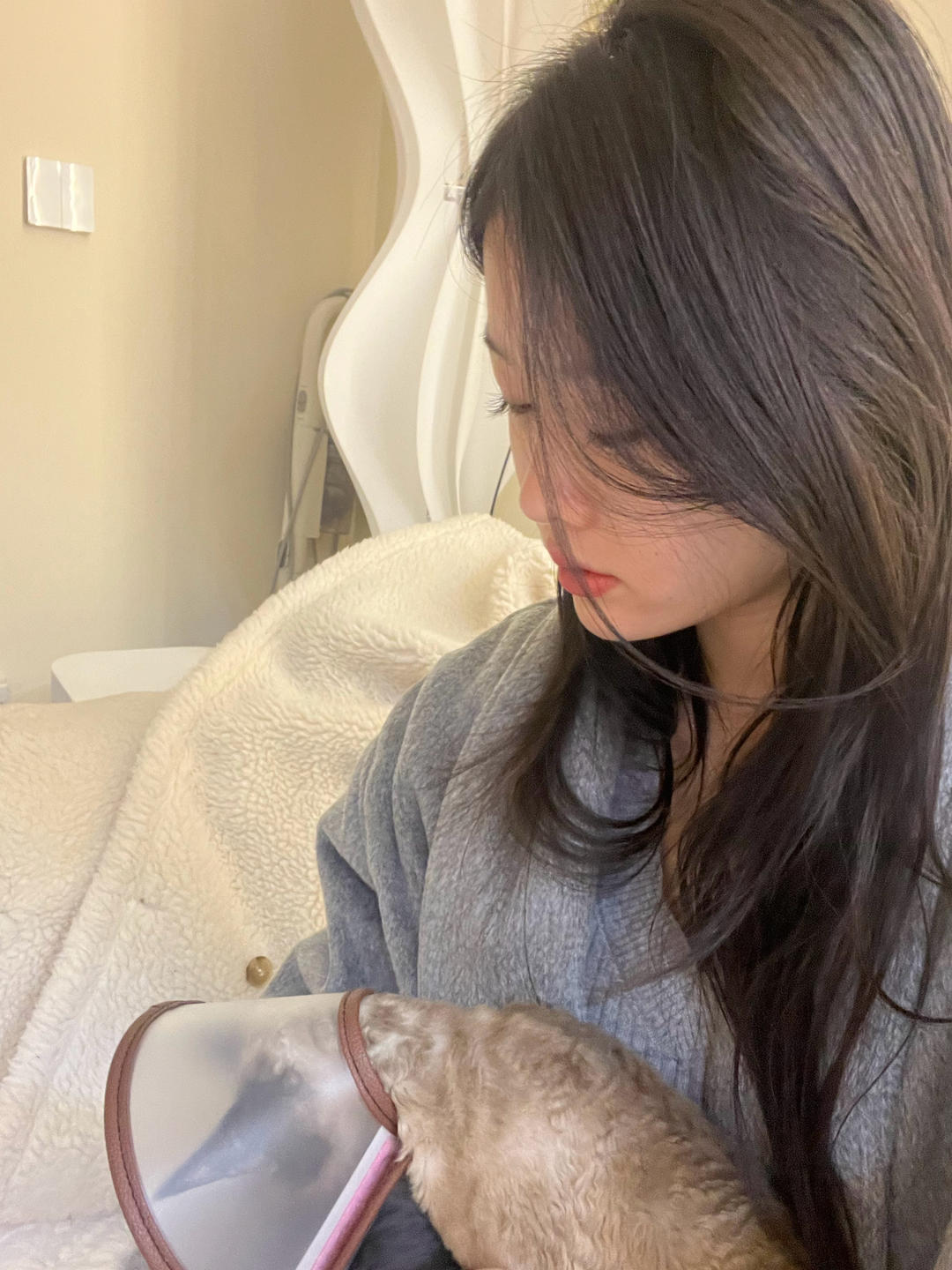 朵朵是全世界最可爱的小猫咪