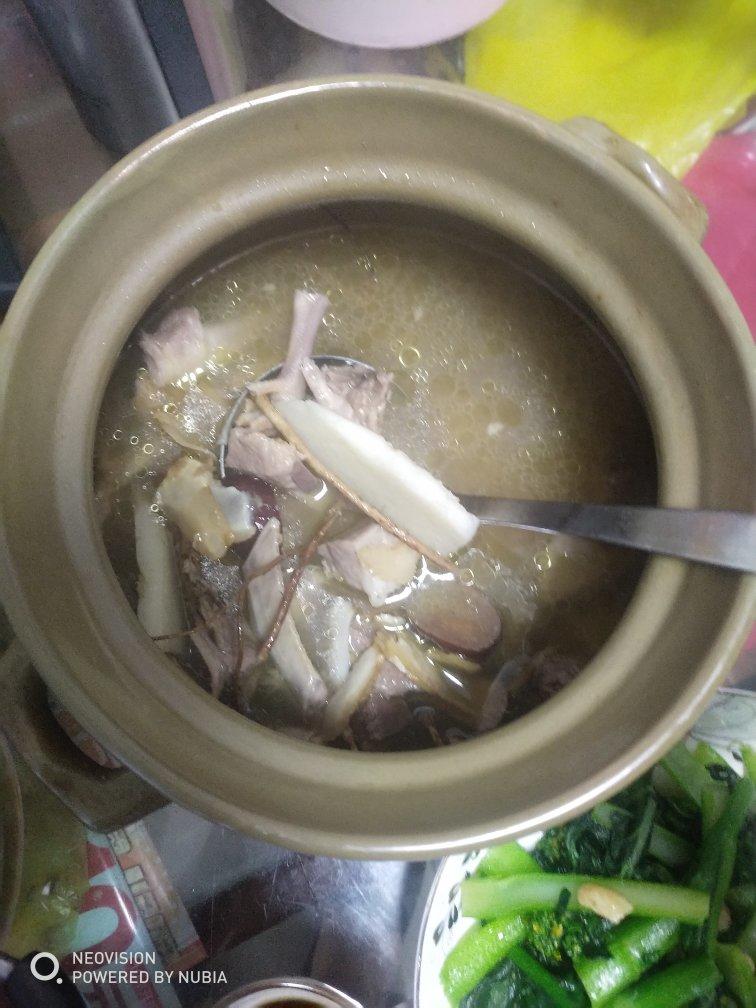 白鸽补中益气汤