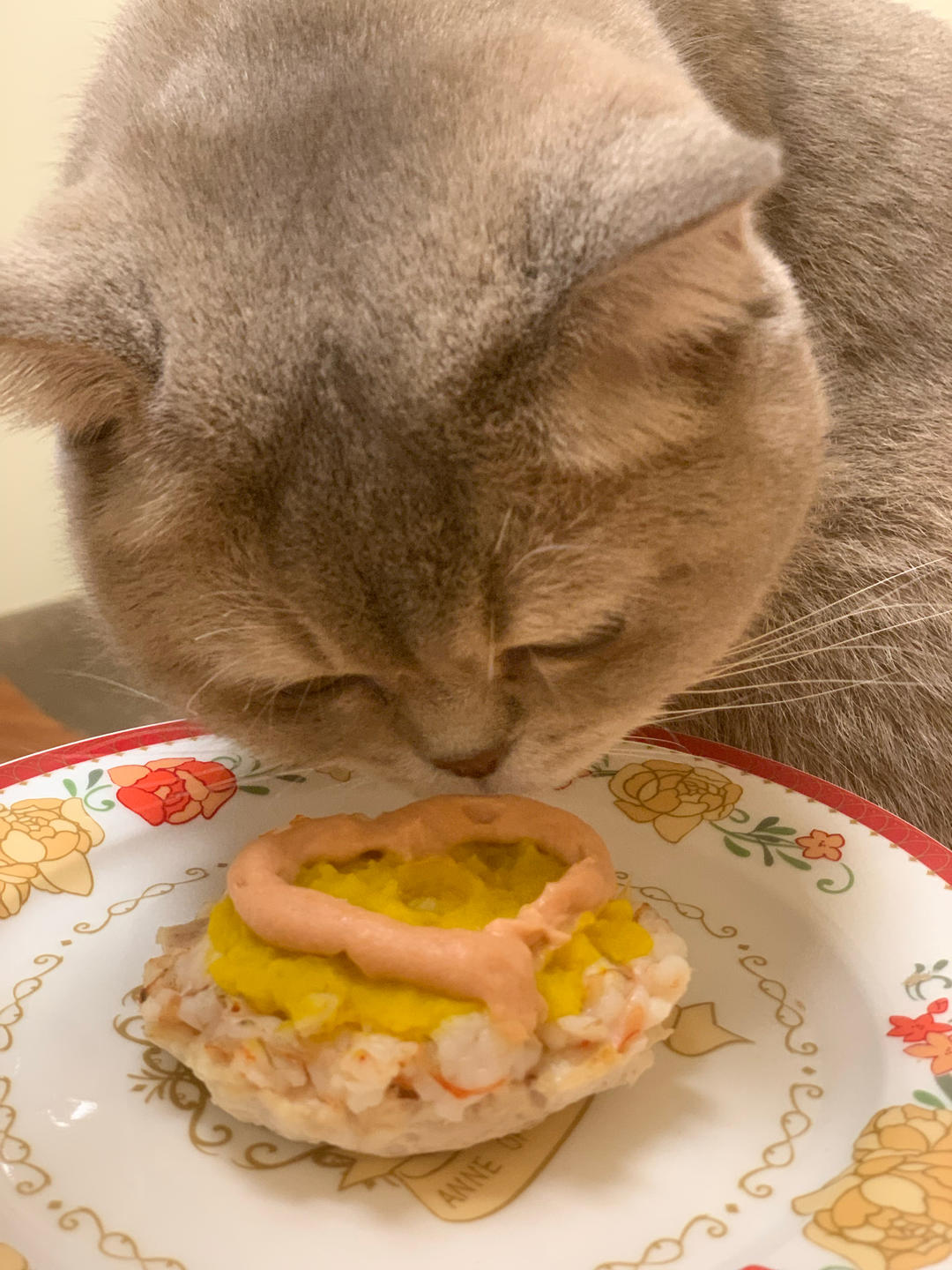 自制宠物零食-猫咪蛋糕-猫生日蛋糕