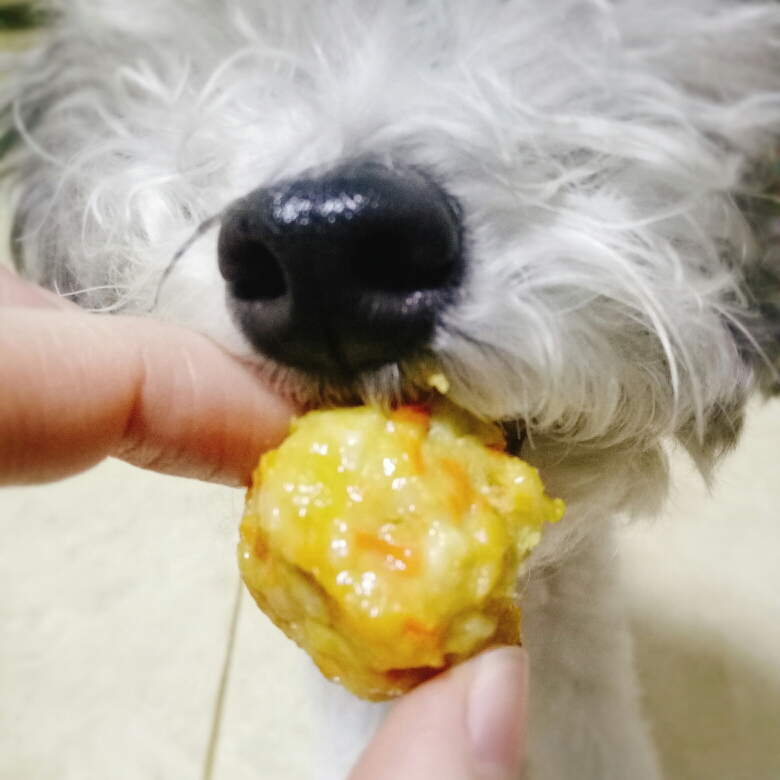 狗狗饭食-红薯土豆胡萝卜鸡肉丸的做法 步骤3