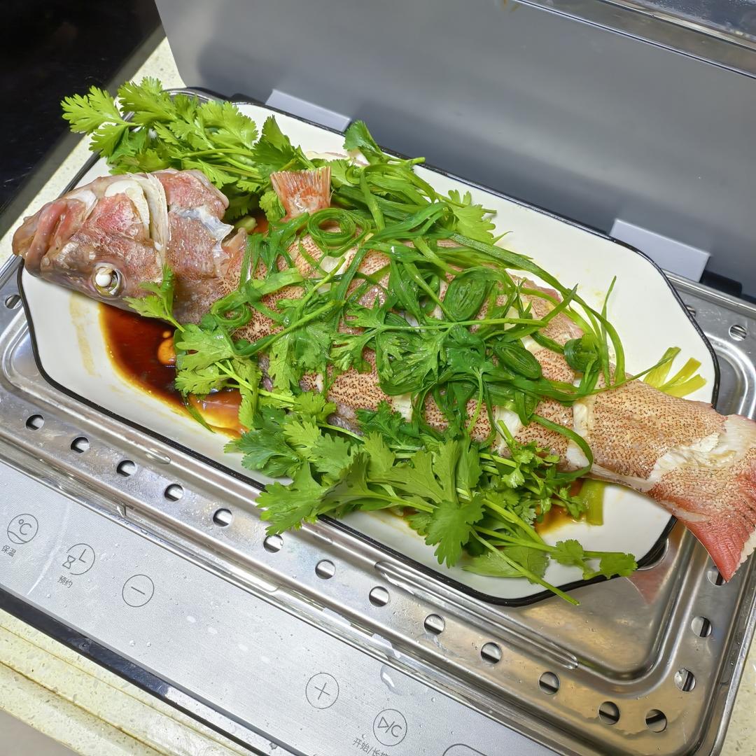 【0526】清蒸东星斑（含蒸鱼豉油做法）  <302小厨房>