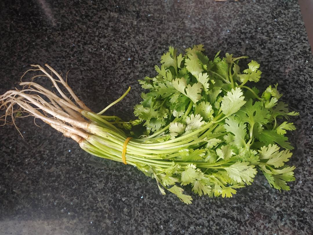 [小窍门]带根香葱/香菜最简单的保存方法