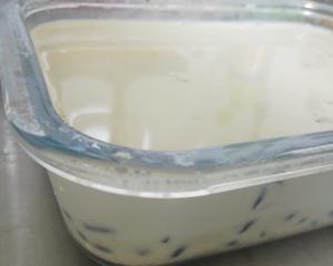 抹茶蜜豆姜汁撞奶的做法 步骤10