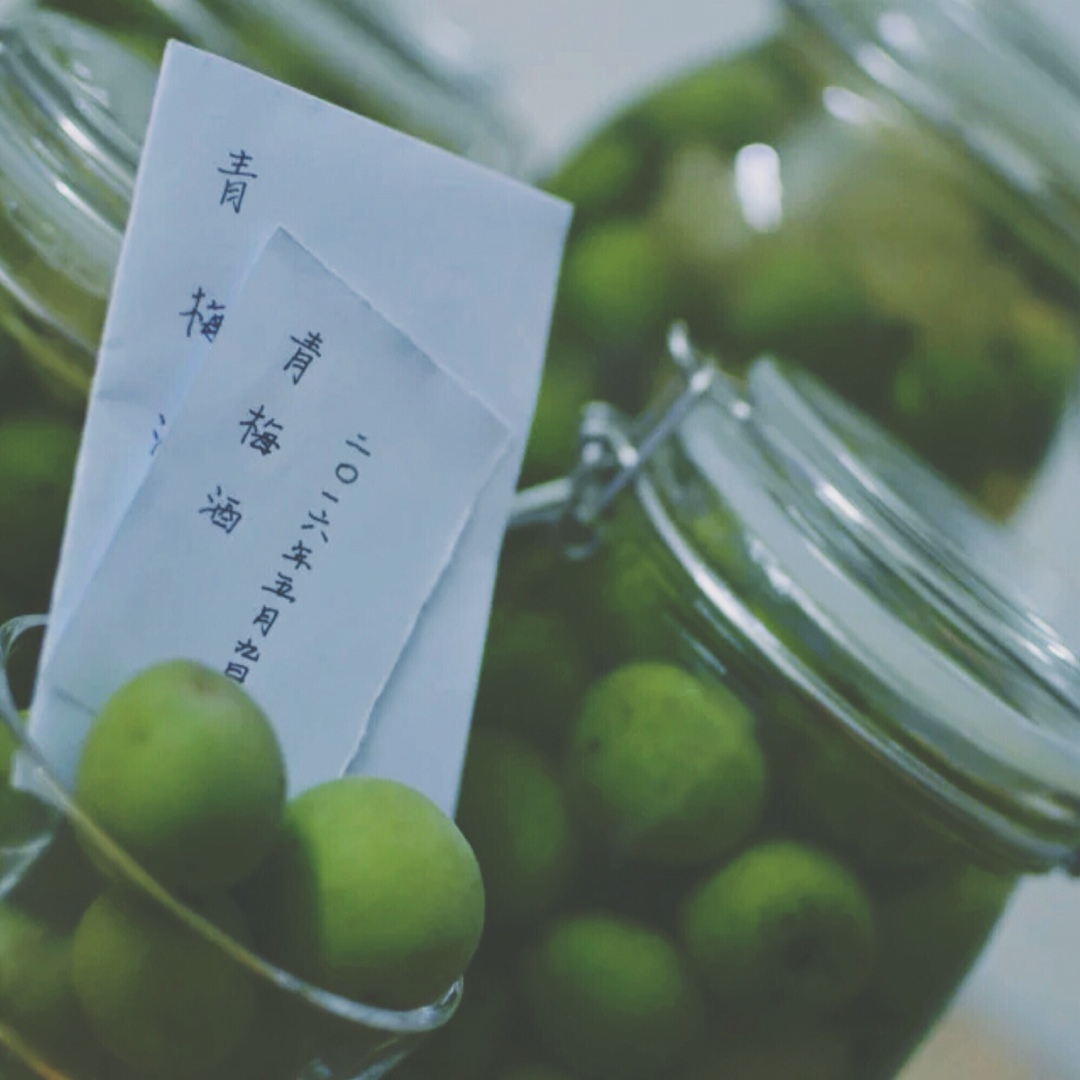 青梅酒（优的春日私酿第二話）