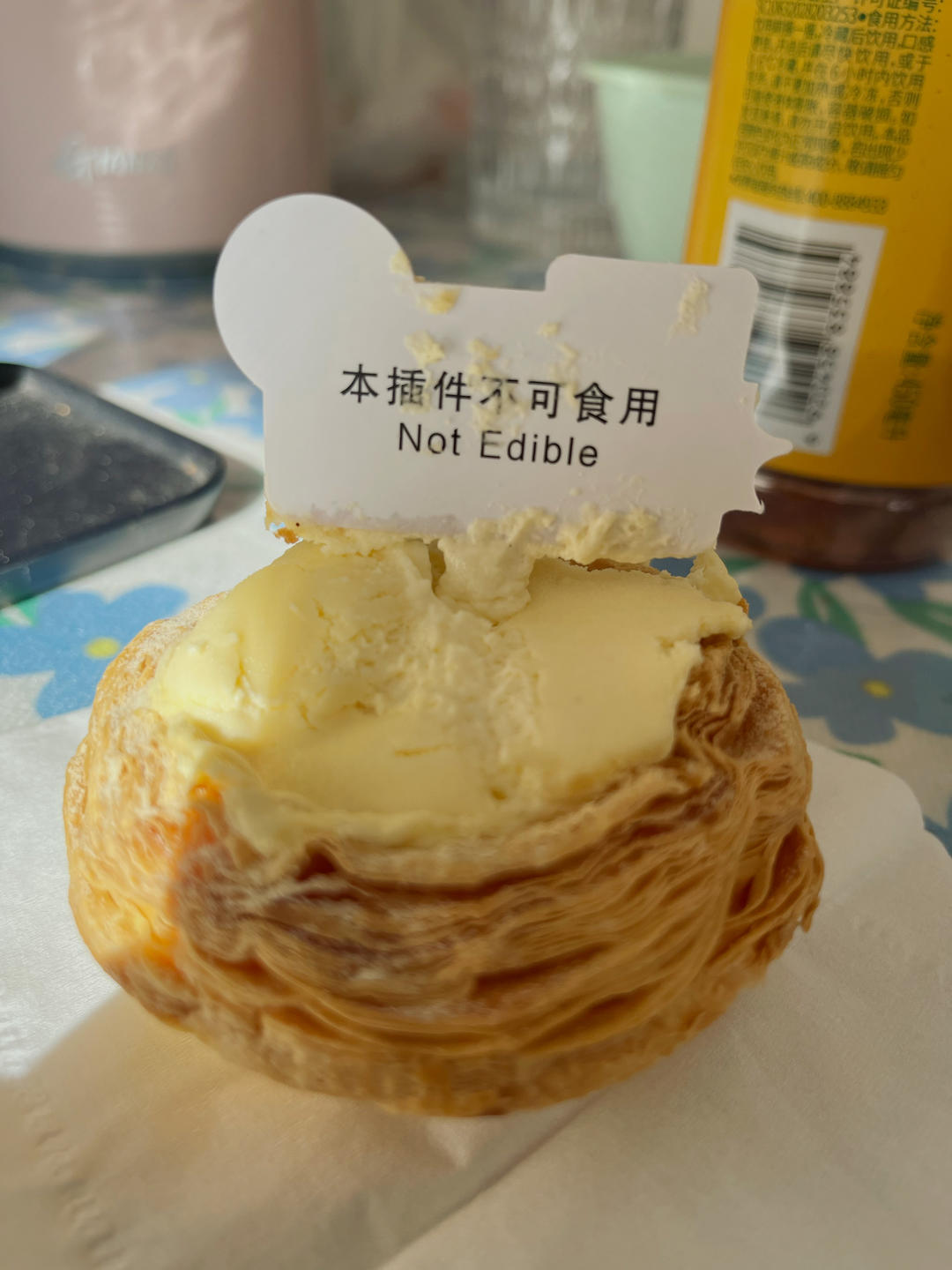 努力做饭的多多肉小恐龙