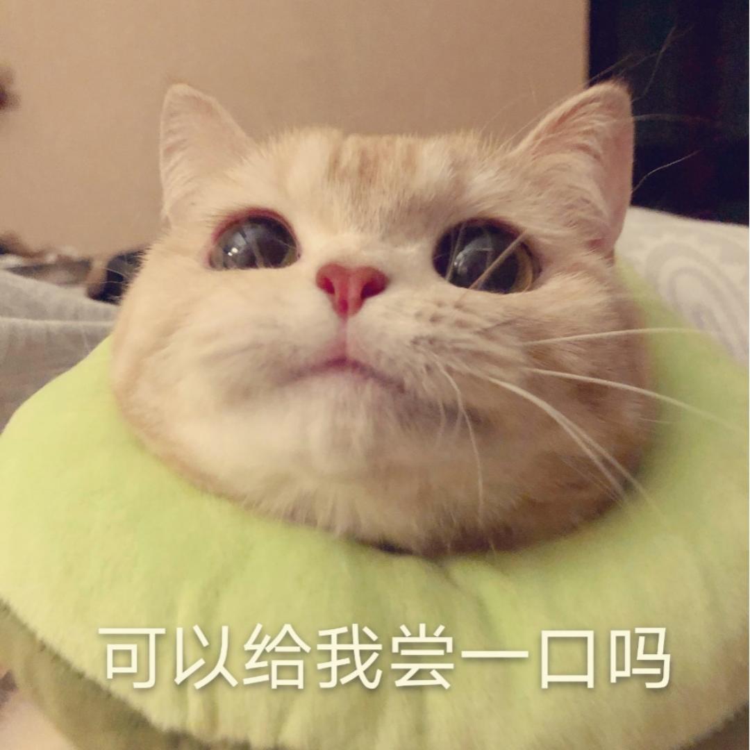 汉堡儿梅子