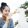 洇颜