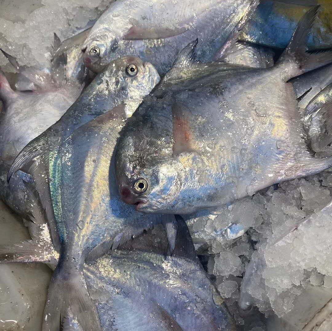 清蒸鱼（之如何制作蒸鱼豉油）