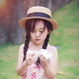 Yiran的海豚