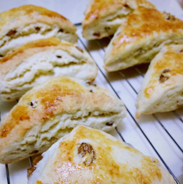 葡萄干司康（酵母版）