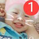 刀尖上跳跃的猫