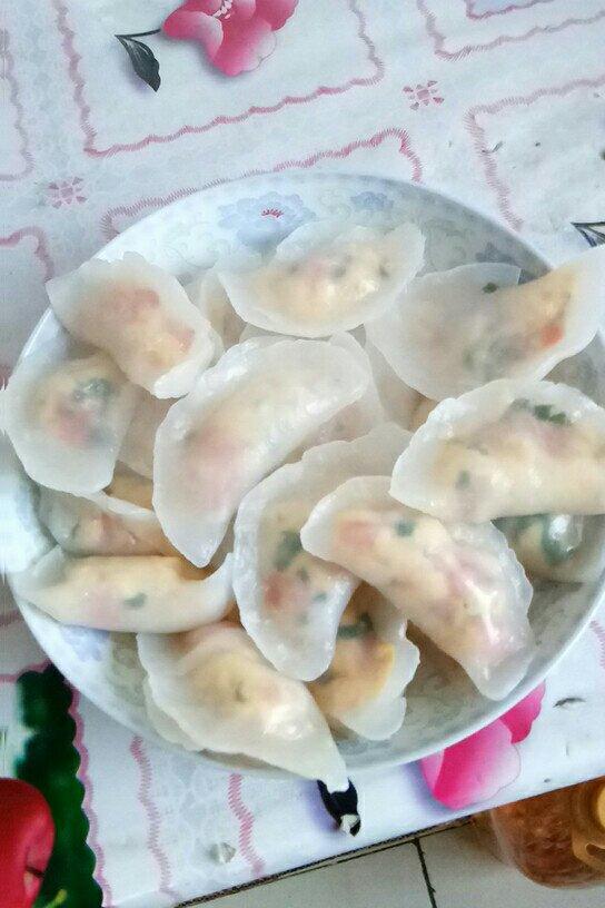 手机用户2848_m8gz做的水晶饺子