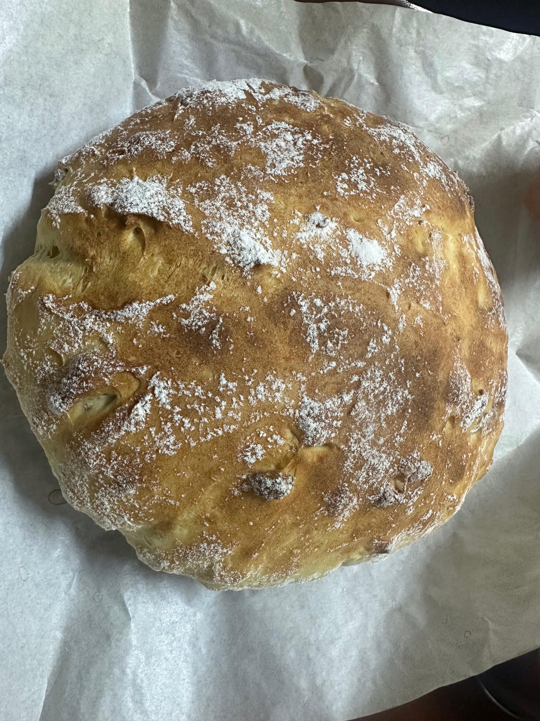 基础欧包 欧式面包 乡村欧包（免揉免出膜）