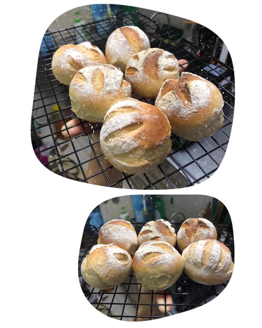 全麦法式小餐包（海绵酵种）