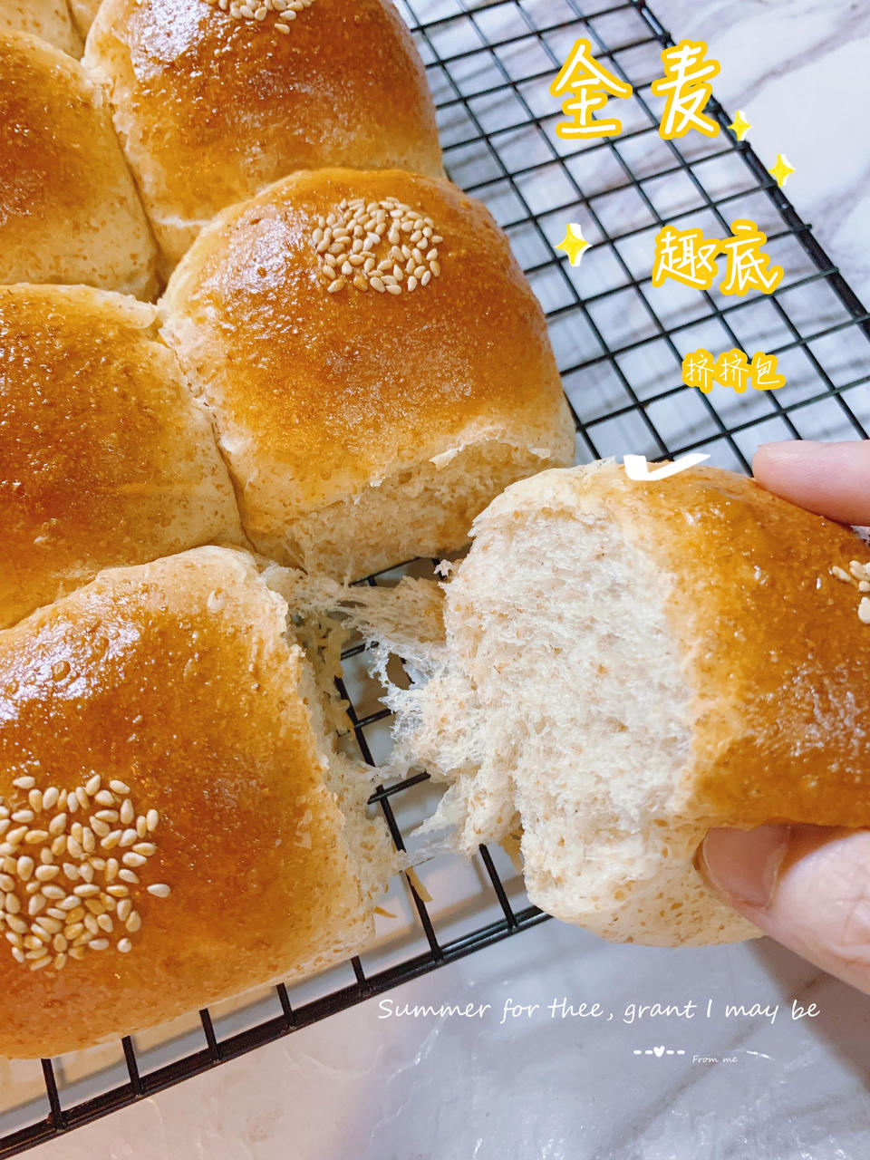 【全麦蜂蜜趣底挤挤包】健康无添加，男女老少都爱吃~