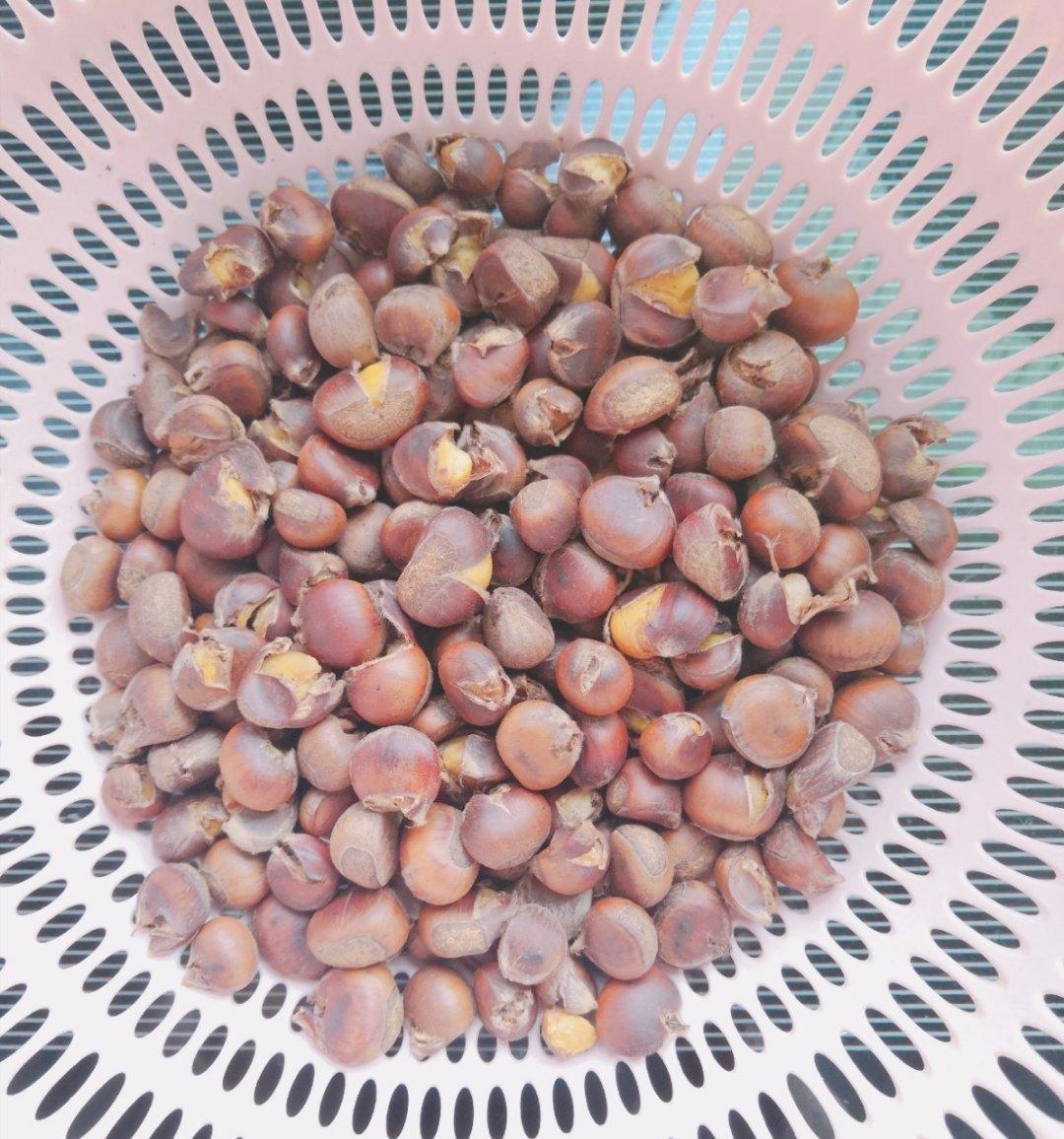 如何轻松剥野生小板栗壳