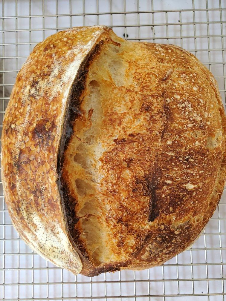 【硬欧笔记】GirlMeetsBread「Sourdough Notebook」
