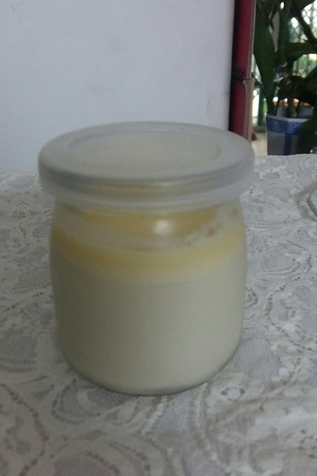 超级简单易做的意式奶冻