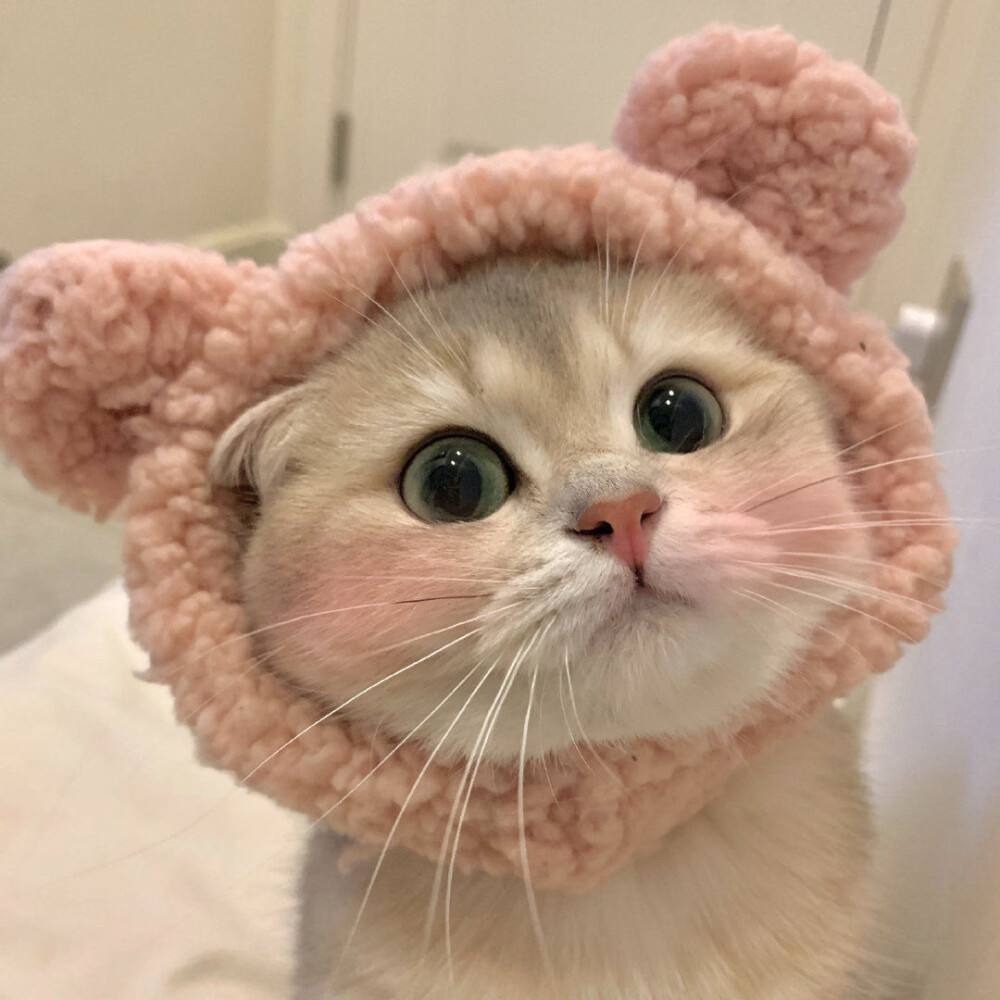 小宋厨艺进阶记录