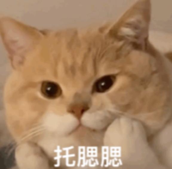 这次能坚持多久呢 0-0