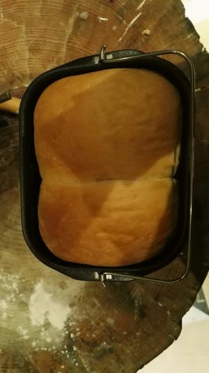 中种吐司面包（伊莱克斯面包机版）的做法 步骤4