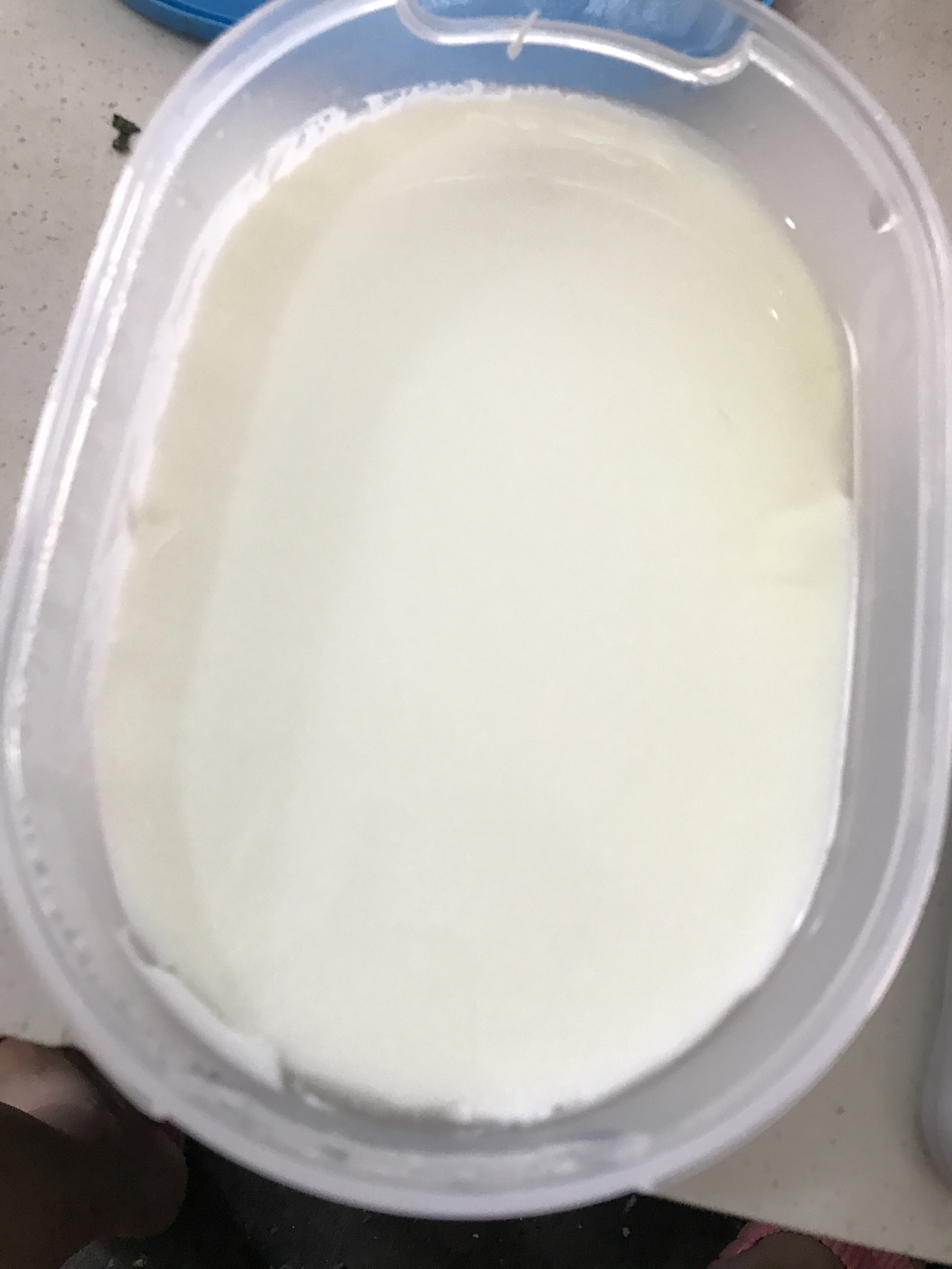 脱脂酸奶（无酸奶机）的做法