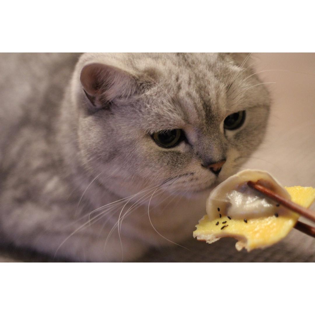 蛋抱煎饺（速冻饺）