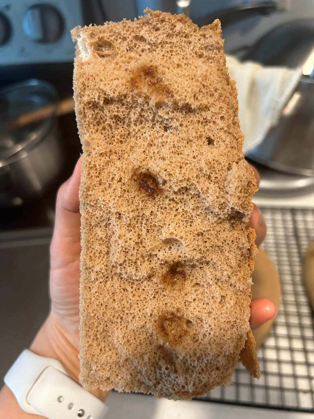 香葱肉松爆浆蛋糕
