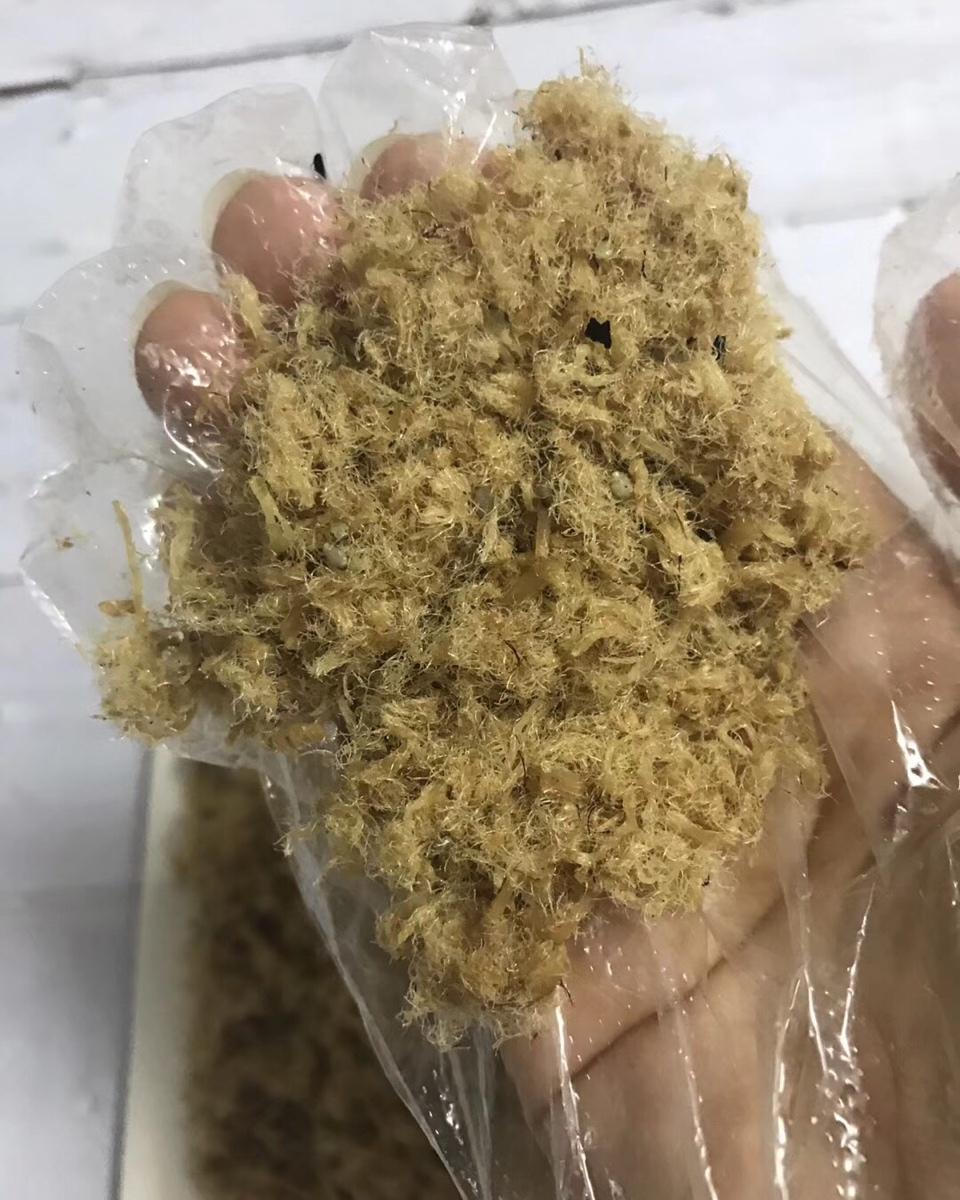 自制猪肉松（炒制版）