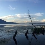 天蝎_古格嘉依的厨房