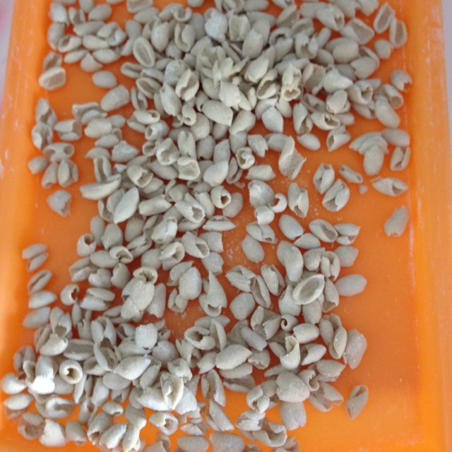 镇宅小兽做的荞麦面猫耳朵