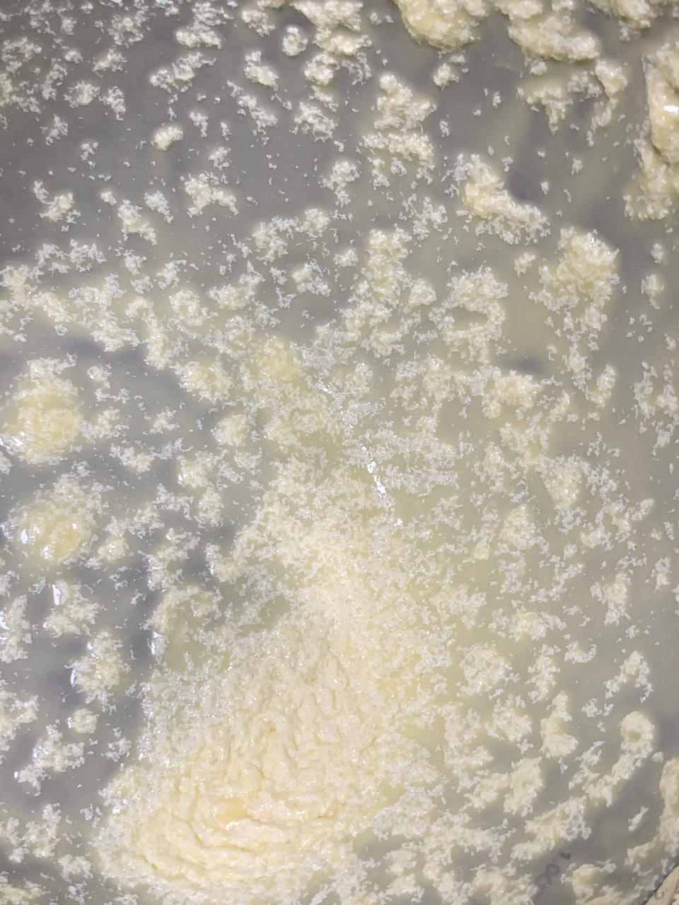 巴斯克芝士蛋糕『最简单的蛋糕』零失败🔥芝士控