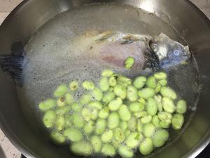 浓鲜翠绿的鲫鱼蚕豆汤的做法 步骤3