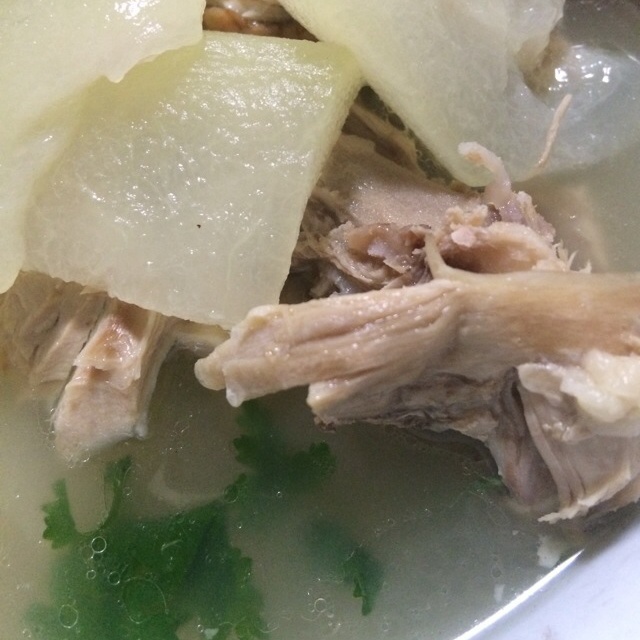 冬瓜薏米老鸭汤