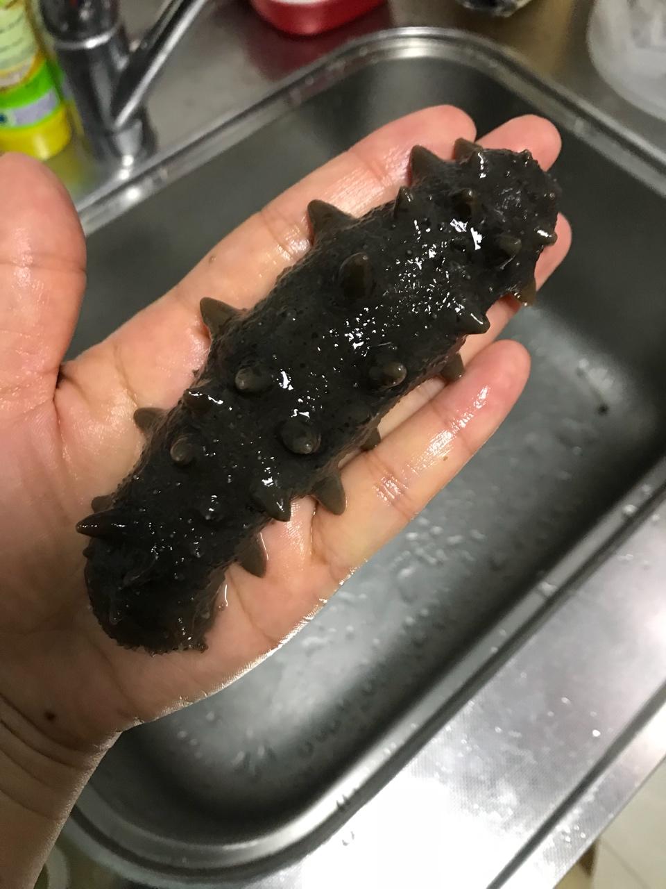泡发海参(˶‾᷄ ⁻̫ ‾᷅˵)