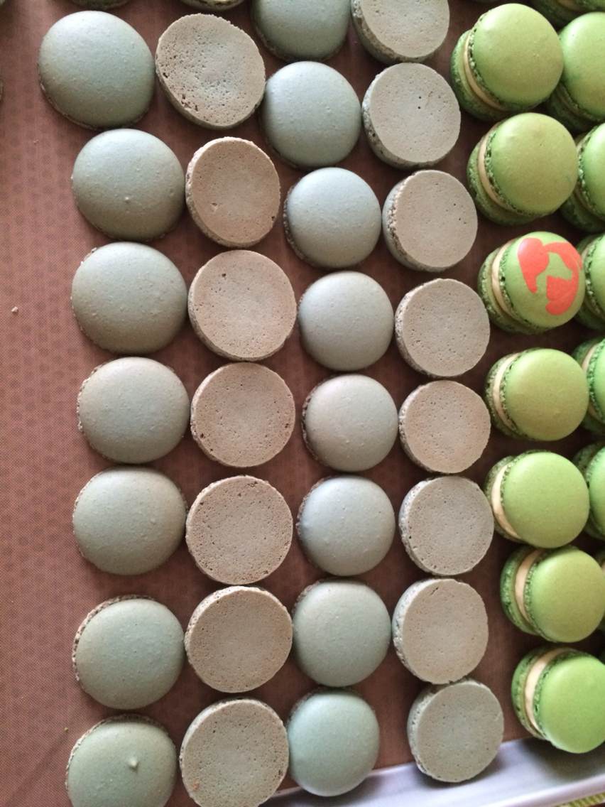 我的马卡龙日记